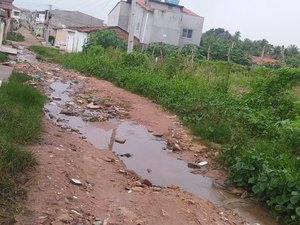 Com chuvas mais intensas, ruas sem pavimentação trazem mais transtorno para moradores em Palmeira