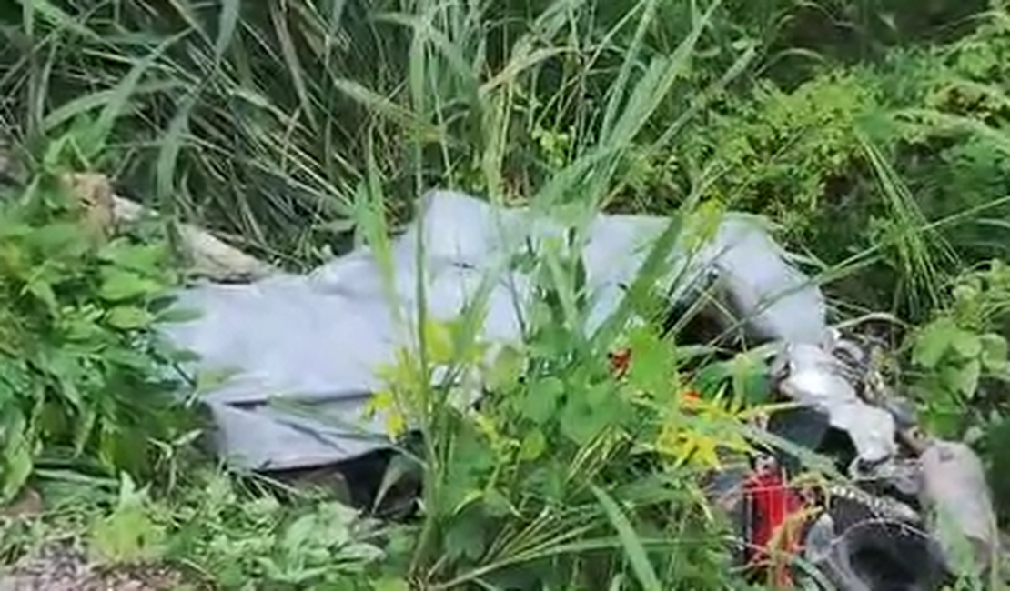 Motociclista morre após colidir com animal solto em trecho da rodovia AL-430