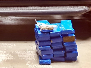 Jovem de 26 anos é presa em ônibus com quase 18kg de maconha que seriam entregues em Arapiraca