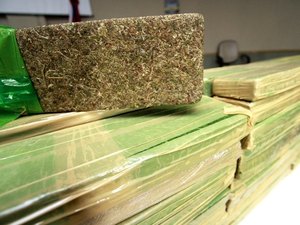 Mais de 2 milhões de kg em drogas foram apreendidos pela Segurança Pública em 2016