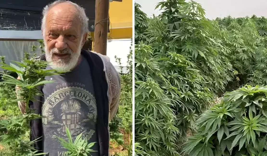 Ex-ator da Globo mostra plantação de maconha em seu sítio: 'Para consumo próprio'