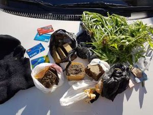 Polícia apreende armas e localiza plantação de maconha em quintal de residência