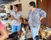 OAB Alagoas já registrou 45 denúncias de maus-tratos contra animais em 2025