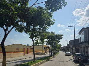 Prefeitura de Matriz de Camaragibe inicia poda de árvores na Avenida Manoel dos Santos