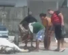 Polícia Civil localiza dono e apreende cavalos após denúncia no Benedito Bentes