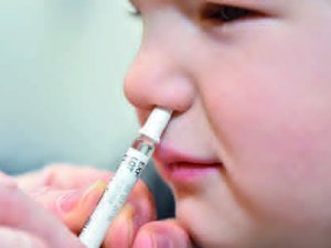 Vacina via nasal pode ter mais eficaz e com menos efeitos colaterais