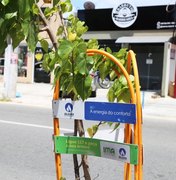 Calçada Verde: projeto da Algás arboriza 13 bairros de Maceió em 2019