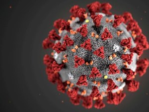 Boletim Epidemiológico: Palmeira tem 18 casos confirmados para a Covid-19