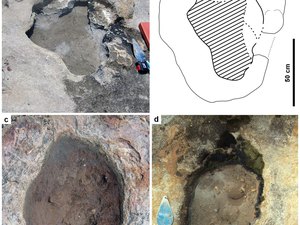 Entenda como pegadas de dinossauros encontradas no RN ficaram preservadas