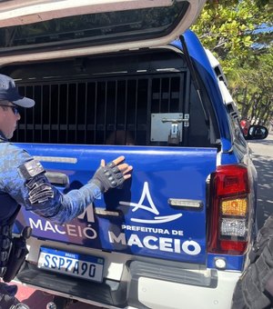 Concurso Guarda Municipal: Teste de Aptidão Física acontece no dia 13 de setembro