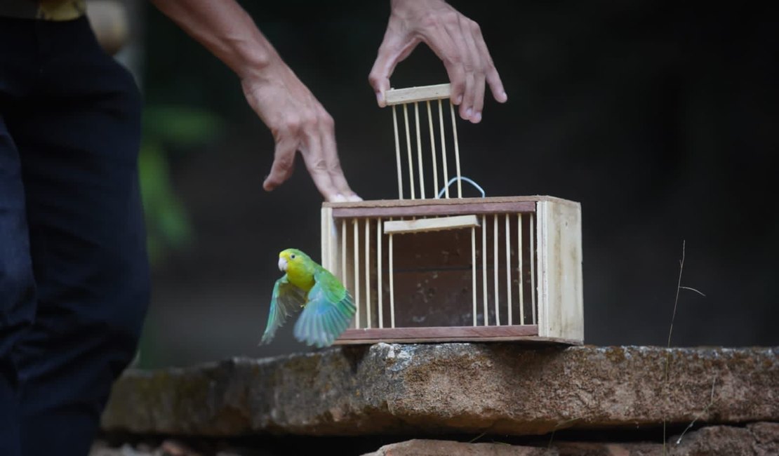 Maior consciência ambiental da população sertaneja marcou a FPI do São Francisco