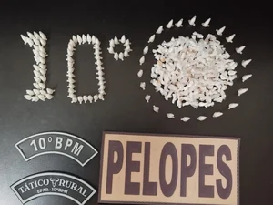PM inicia mês de maio com 21 armas de fogo retiradas de circulação em Alagoas