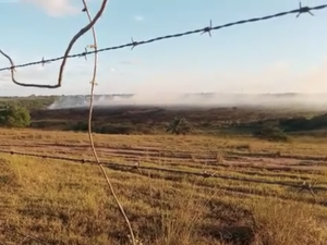Incêndio em vegetação próximo ao Brisa do Lago prejudica motoristas na AL-115