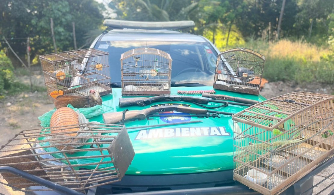 Polícia Militar apreende aves silvestres, armas e armadilhas de caça em Porto de Pedras