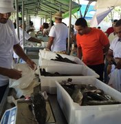 Feira do Peixe Vivo resulta em parcerias e negócios