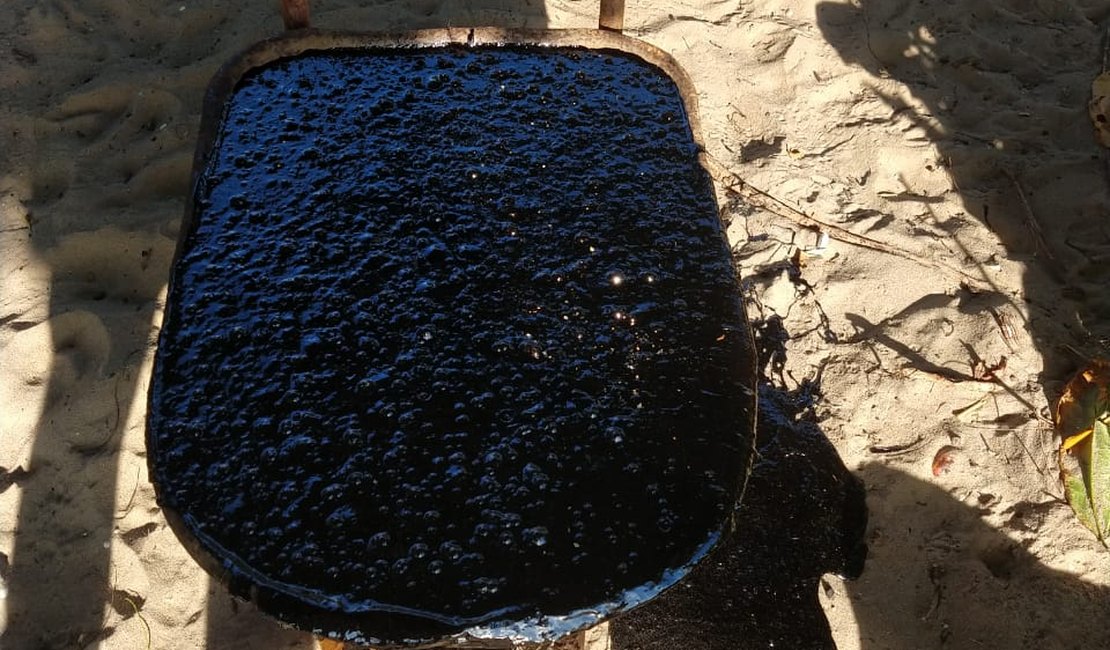 [Vídeo] Manchas de petróleo invadem Rota Ecológica de Alagoas