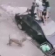 Crianças sobem em teto de carro para fugir de ataque de pitbull; Uma delas foi mordida