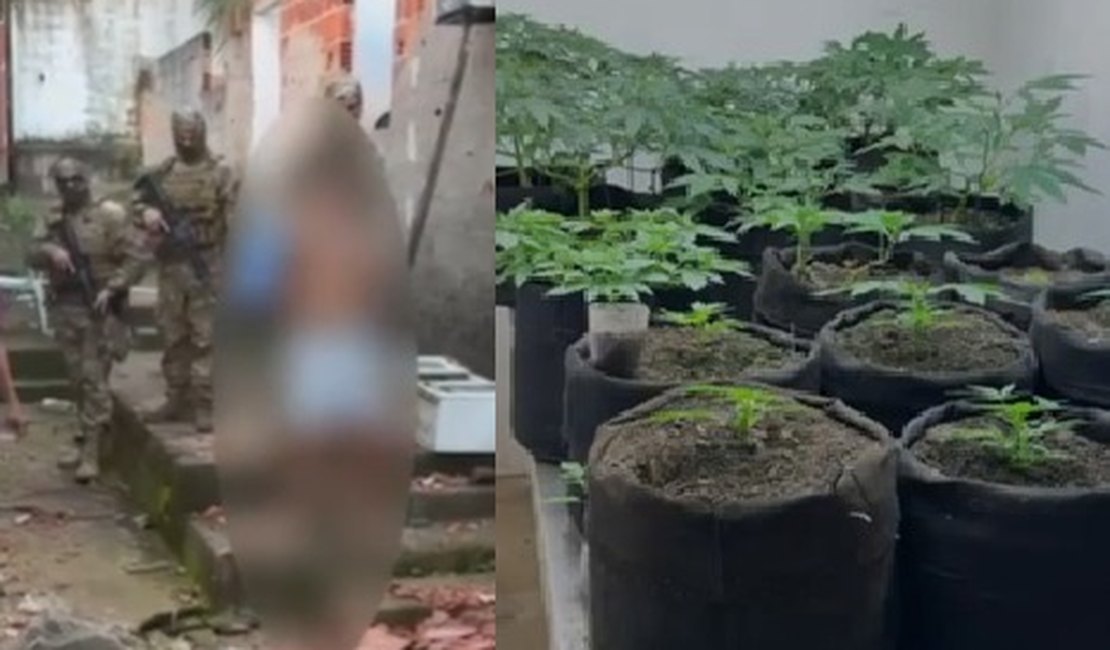 Polícia estoura laboratório usado para cultivo e refinamento de maconha em Maceió