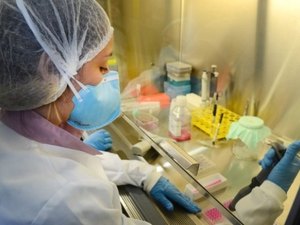 Fapeal lança editais que financiam pesquisas científicas sobre o vírus da Zika