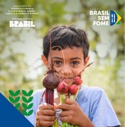 Professor da Ufal participa de pesquisa sobre estado nutricional de crianças