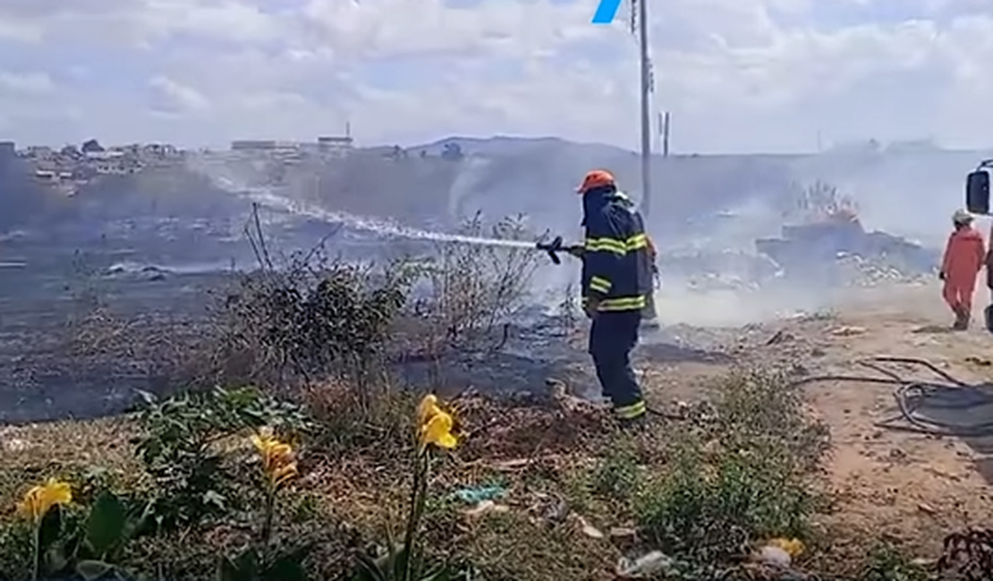 [Vídeo] Incêndio de grandes proporções em vegetação exige trabalho dos bombeiros em Palmeira dos Índios