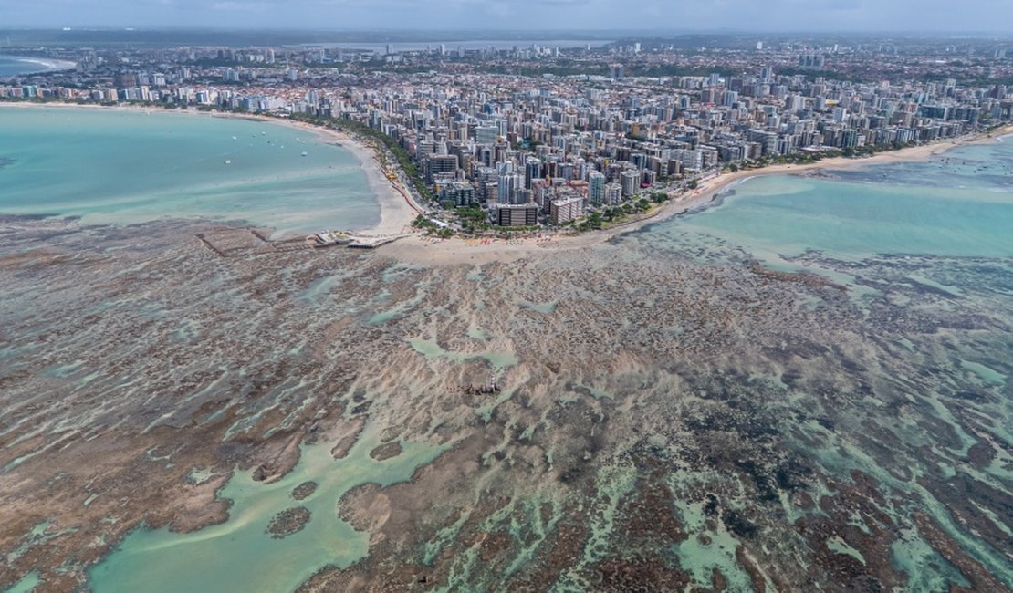 Maceió é líder em vendas no 1º semestre e nas férias de julho, revela Braztoa