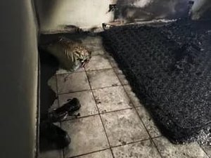 Mulher ateia fogo dentro de casa com duas crianças, em Branquinha
