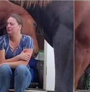 Cavalo consola dona que estava chorando após divórcio