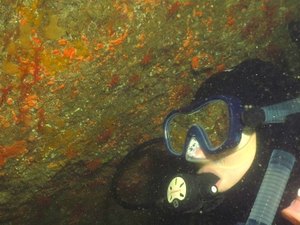 [Vídeo] Estátua de santa é encontrada intacta no fundo do mar e intriga mergulhadores