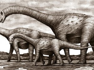 Nova espécie de dinossauro é encontrada no sertão da Paraíba