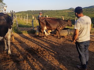 Mais de 100 famílias de agricultores são beneficiadas com programa rural em Girau do Ponciano