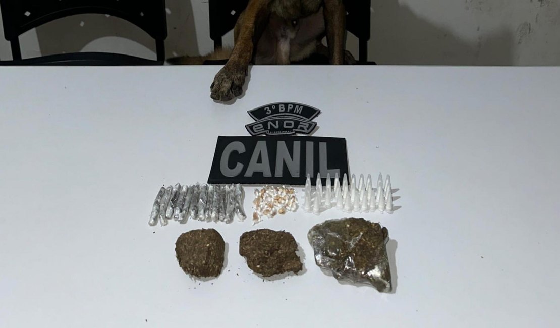 PM-AL apreende 33 armas e quase 14 quilos de drogas em uma semana