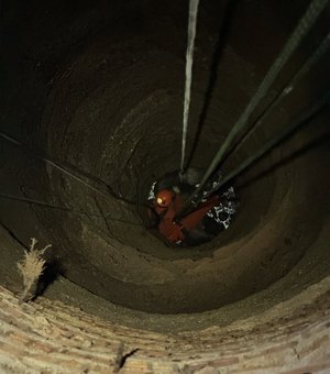Boi cai em poço de mais de 30 metros e é resgatado por bombeiros em Feira Grande