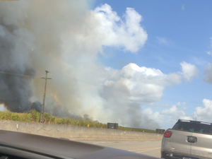 Incêndio em vegetação deixa Arapiraca parcialmente coberta por fumaça