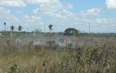 Incêndio em vegetação no município de Arapiraca 