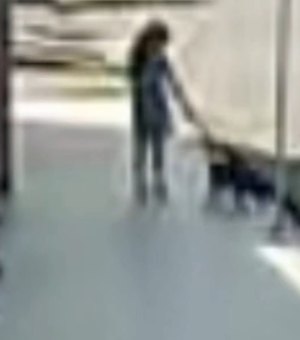 Pitbull ataca e mata pinscher na frente de criança no bairro Cavaco, em Arapiraca