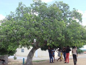 Decreto presidencial destina área para território quilombola em Alagoas