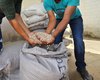 Emater atende 9 mil agricultores familiares no primeiro semestre de 2025