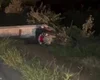 Motociclista morre após perder controle da moto e bater em poste em Água Branca