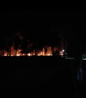 Incêndio em sítio assusta moradores de Japaratinga