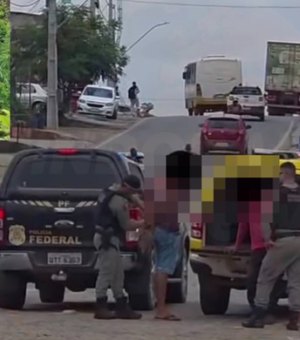 Dupla é presa após polícia descobrir plantação com 4 mil pés de maconha em Pindorama