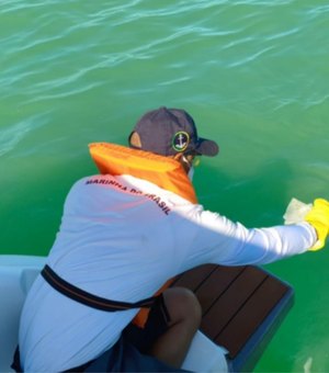 Marinha instala barreira de contenção após naufrágio de embarcação em Japaratinga