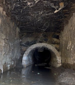 Ilha do Ferro sofre com despejo de esgoto sem tratamento no Rio São Francisco