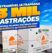 Castramóvel ultrapassa três mil castrações de animais em Palmeira dos Índios