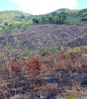 IMA alerta população sobre riscos de queimadas durante período seco e de baixa umidade em AL