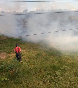 Fogos usados em carreata provocam incêndio em vegetação em Penedo