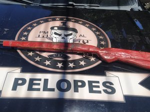 Polícia apreende arma de fogo no Risca Faca de Maragogi