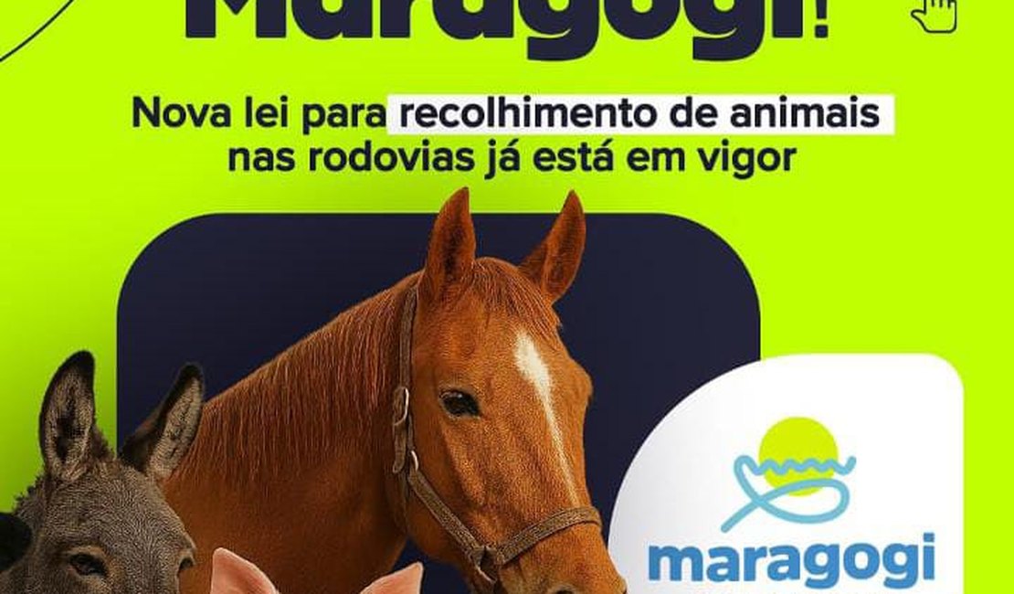 Nova Lei para recolhimento de animais nas rodovias entra em vigor em Maragogi