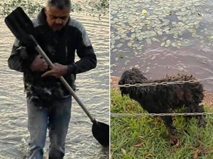 'Faria de novo', diz pedreiro que resgatou cachorro no lago de Iacanga em manhã com 3ºC