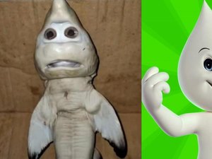 Tubarão com cara 'humana' é comparado com o Zé Gotinha; veja os memes